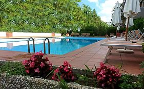 Aurelia Antica Terrace Apt Free Pool And Parking