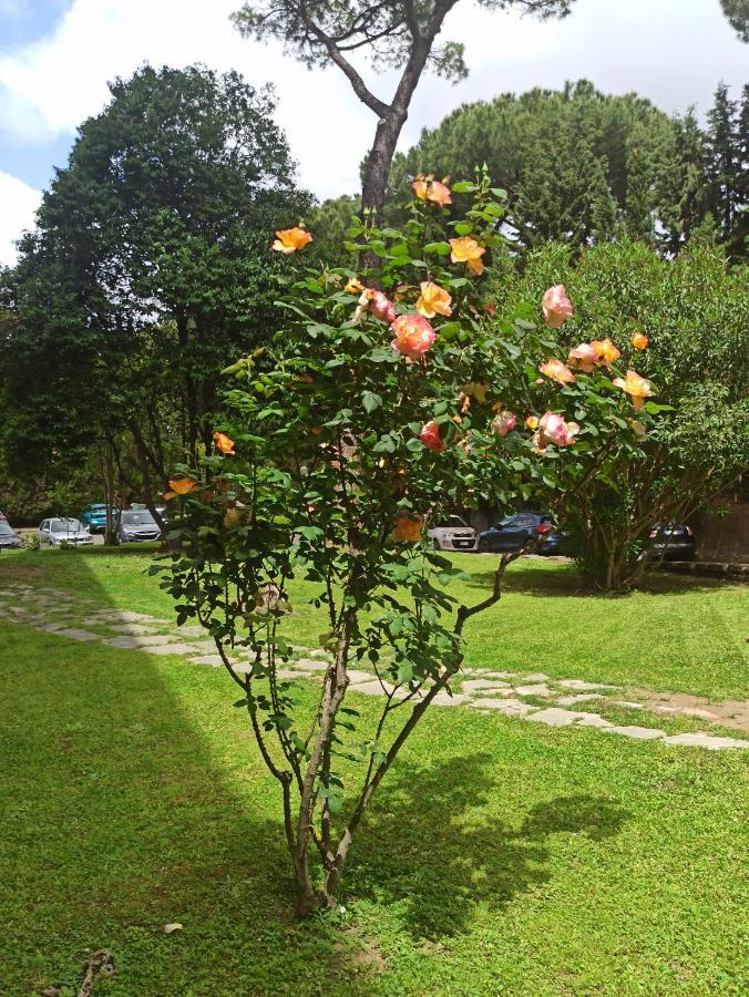 Aurelia Antica Terrace Apt Free Pool And Parking Roma Esterno foto